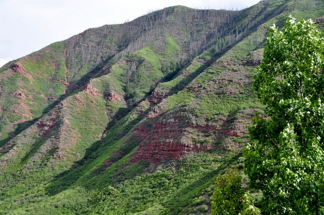 Coal Ridge west of Glenwood Springs on the I-70